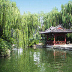 景点模块 