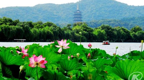  杭州宋城-山沟沟-西湖美景2日游>生态清肺之旅