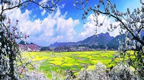  郁金香龙架山休闲金海雪山1日游>超值双景点