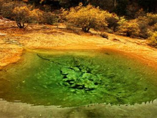 北京-绵阳-九寨沟-黄龙-成都双飞5日游,北京成