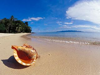 斐济沙滩