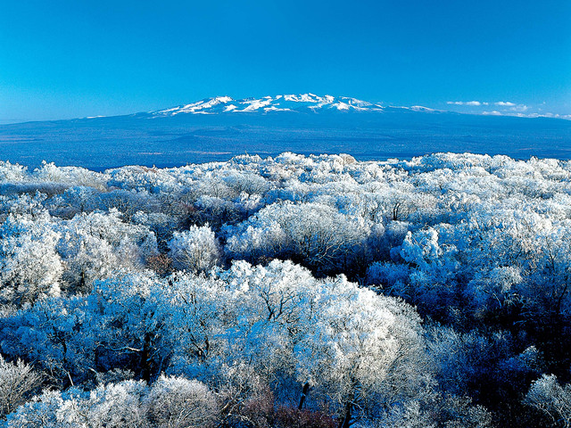  哈尔滨-亚布力滑雪-雪乡-长白山-魔界雾凇-万达度假区双飞7日游>0