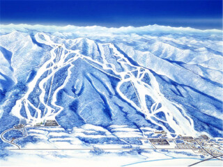 富良野滑雪场