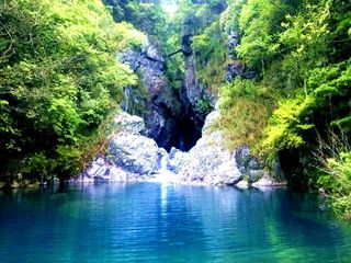  祁门牯牛降春色-仙寓山2日游>指定住宿,享受天然空调