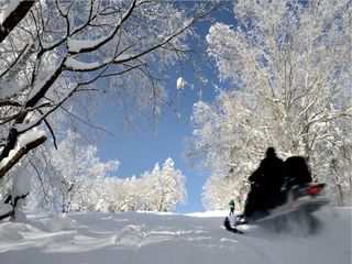  雪乡汽车2日游>哈尔滨起 乘雪地摩托登大秃顶子山 升级住宿