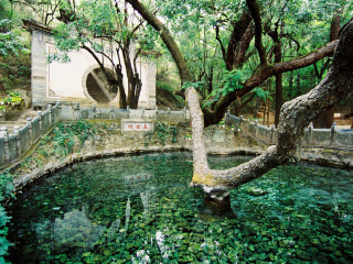 8月云南大理麗江旅游_到云南大理麗江旅游多少錢_云南大理麗江旅游跟團多少錢