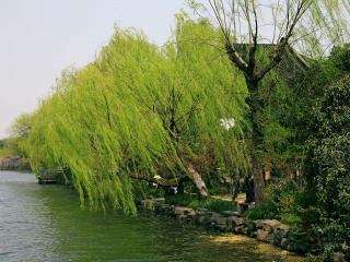 旅游去華東杭州_華東杭州2人旅游需要多少錢_2021去華東杭州旅游團報價