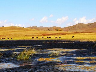 廣州北戴河旅游團(tuán)_北戴河旅游團(tuán)報(bào)價(jià)2021_北戴河自由行組團(tuán)