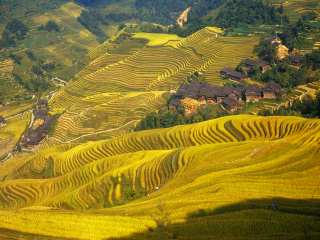桂林旅游十一日游_桂林旅游的多少钱_桂林旅游跟团多少钱