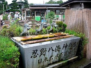 日本箱根1日游>忍野八海,富士山地区温泉