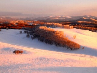 東北亞布力滑雪旅游價格多少跟團_東莞到東北亞布力滑雪游_去東北亞布力滑雪報團多少錢