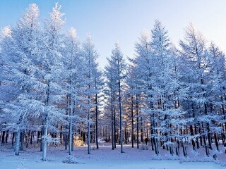 亞布力雪鄉(xiāng)旅游價(jià)格_亞布力雪鄉(xiāng)旅游要多少錢跟團(tuán)_到亞布力雪鄉(xiāng)旅游多少錢