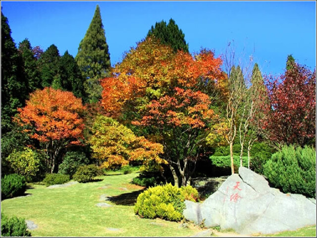 庐山植物园