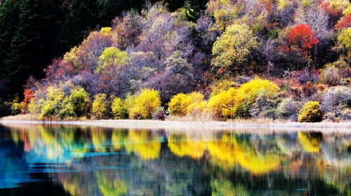 成都-乐山-九寨沟双汽4日游 全程大巴车、赠藏