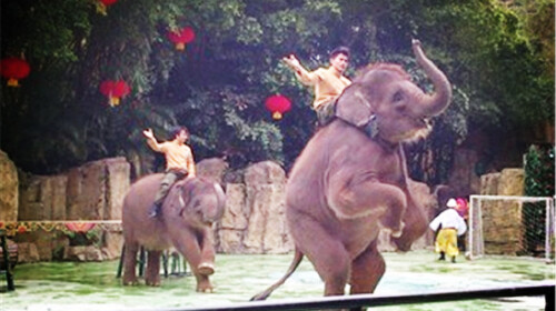 [春节]<珠海-广州长隆-开平碉楼-岭南印象园亲子5日欢乐游