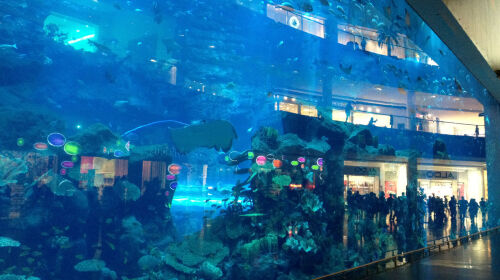 http:\/\/www.tuniu.com\/tour\/210139022