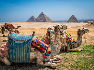 埃及半自由行_埃及九月旅游_埃及旅游多少钱