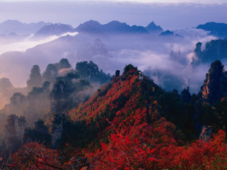 十一張家界游報價_張家界旅游要多少錢跟團_張家界五日游路線