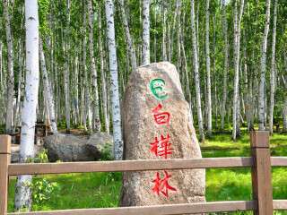 內(nèi)蒙古呼倫貝爾旅行跟團(tuán)_10月內(nèi)蒙古呼倫貝爾旅游_內(nèi)蒙古呼倫貝爾過春節(jié)旅行團(tuán)