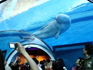 海洋生物博物馆