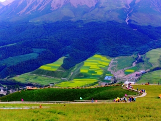  青海-塔尔寺-青海湖-卓尔山-门源双卧6日游>可升级交通