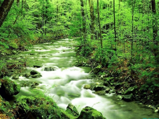  千岛湖秀水中心湖-氧吧或骑行二选一二日游>宿阳光水岸度假阳台湖景