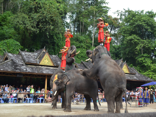 深圳旅游西双版纳_西双版纳旅游需要多少钱_西双版纳旅游双飞价格