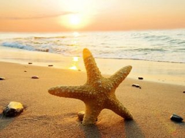 10.16会员日-国内游分会场