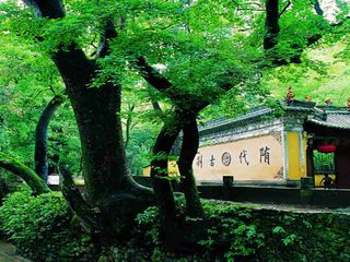 天台国清寺-石梁-琼台仙谷自驾2日游>宿银河星全季酒店