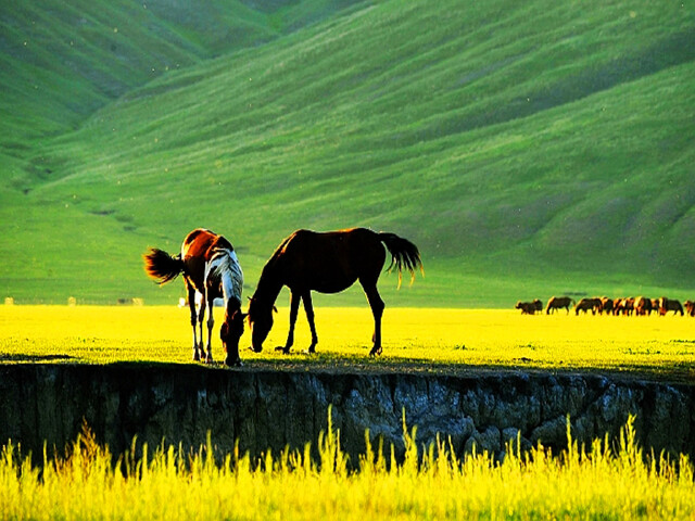 冬季去哪里玩 冬季去哪里旅游 冬季去滑雪 海南