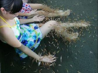 海南三亞游特價團(tuán)_海南三亞旅游花多少錢