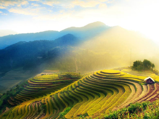 龙脊梯田秋季夕阳美景