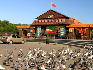  沈阳棋盘山动物园自驾1日游>电子票,景区取票,看齐多