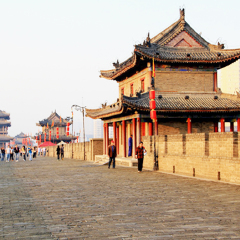 活动模块 