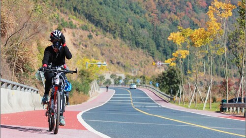 杭州西湖-千岛湖骑行-乌镇-西塘3日游上海出发 森林