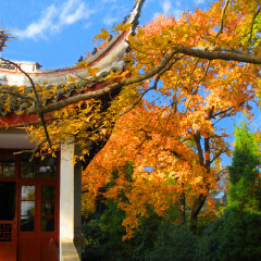 景点模块 
