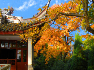 寧波普陀山旅行團(tuán)_2021年寧波普陀山旅游團(tuán)報(bào)價(jià)_寧波普陀山自由行旅游團(tuán)