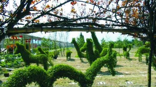 (参考时间)车赴滕头村(车程约30分钟),参观【滕头生态景区】(约120