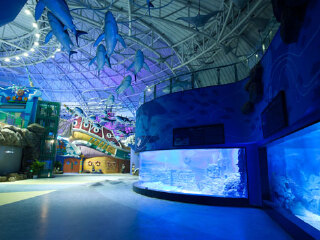 海南海口-三亚2晚3日游 美丽三亚 浪漫天涯