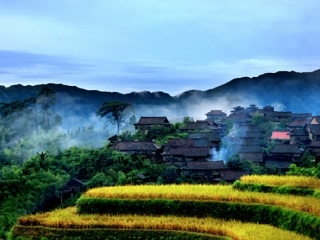  ˮٲ,겷կ2ɫջ,