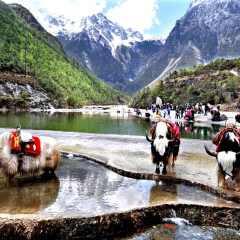 景点模块 