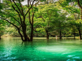 貴州西江苗寨旅游大約多少錢_貴州西江苗寨旅游要多少錢2021_貴州西江苗寨游跟團(tuán)多少錢