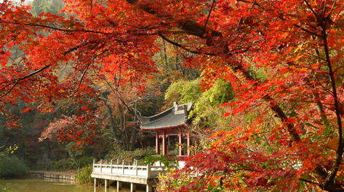 00时前退房,驱车前往南京-栖霞山景区游玩,自理午餐