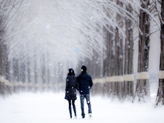 这里也是冬季恋歌拍摄地,秋天的枫叶银杏冬天的雪景最是著名.