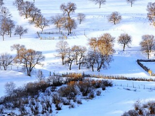 亞布力雪鄉(xiāng)旅游價(jià)格_亞布力雪鄉(xiāng)旅游要多少錢跟團(tuán)_到亞布力雪鄉(xiāng)旅游多少錢