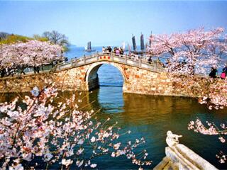 華東私人定制旅游_華東自由行組團(tuán)_華東跟團(tuán)還是自由行