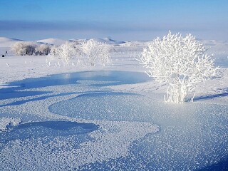 暑假東北亞布力滑雪游價格_東北亞布力滑雪最佳旅游路線_東北亞布力滑雪旅游費用