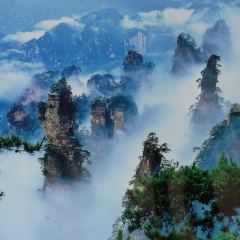 景点模块 