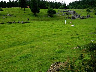  黄水国家森林公园千野草场2日游>山城冰工厂,含价值30元观光车