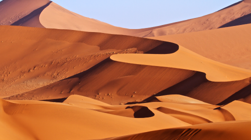 namib desert beetle,beetleinsect 特惠-奔跑吧纳米比亚10日半自助游>苏丝斯黎,埃托沙